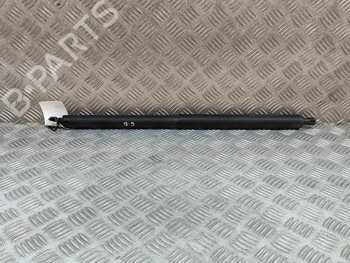 Gasdæmper bagklap TESLA MODEL Y (5YJY) EV Performance All-wheel Drive (534 hp) 31314660