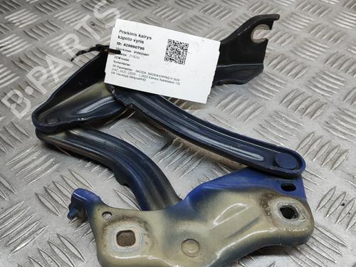 Hinge/Door check strap SKODA ENYAQ iV SUV (5AZ) 60 | BP27786763C146 