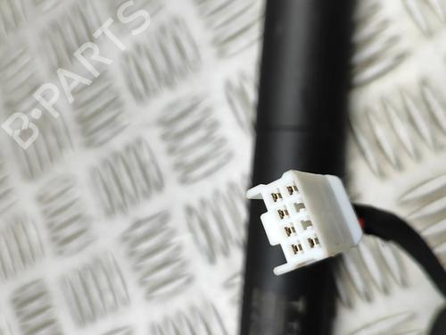 Gasdæmper bagklap TESLA MODEL Y (5YJY) Long Range All-wheel Drive | BP30856811C138 