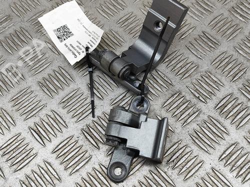 Hinge/Door check strap BMW 5 (F10) 535 d | BP24142954C146