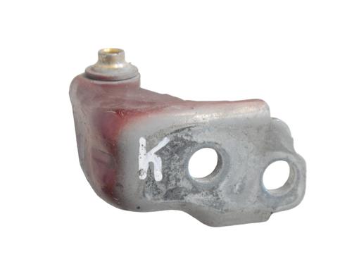 Hinge/Door check strap FORD USA MUSTANG Coupe 2.3 EcoBoost | BP30244933C146 