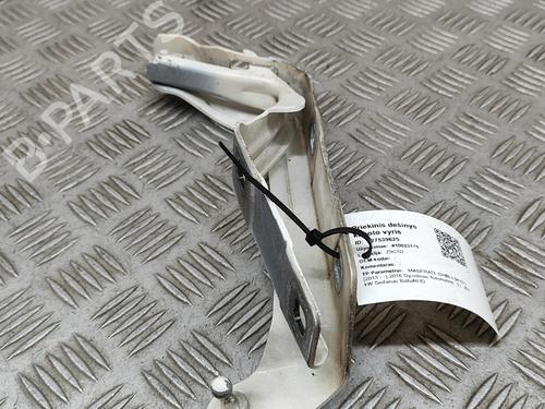 Hinge/Door check strap MASERATI GHIBLI III (M157) 3.0 D | BP21188343C146