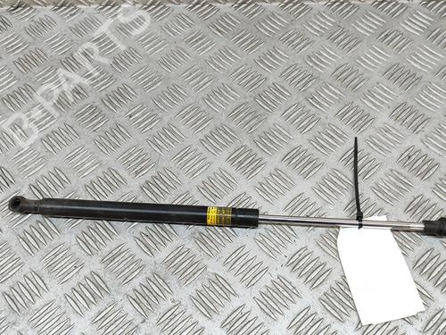 Used Tailgate lift support LEXUS CT (ZWA10_) 200h (ZWA10_) (99 hp) 24307289