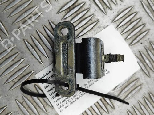 Hinge/Door check strap SKODA ENYAQ iV SUV (5AZ) 80 | BP31810279C146 