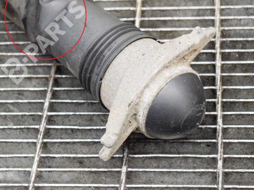 Right rear shock absorber VW TIGUAN (AD1, AX1) 2.0 TDI | BP6748830M19