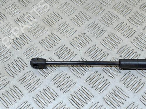 Hood lift support TESLA MODEL S (5YJS) 60 | BP14627433C139 