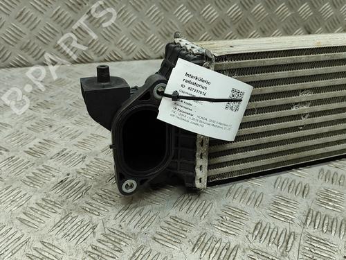 Intercooler HONDA CIVIC X Hatchback (FC_, FK_) 2.0 Type-R (FK8) | BP20675896M30 