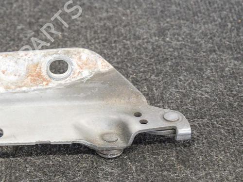Hinge/Door check strap LAND ROVER RANGE ROVER EVOQUE (L538) 2.2 D 4x4 | BP14607887C146 