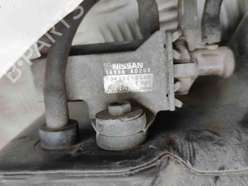 Pipe NISSAN PATROL GR V Wagon (Y61) 3.0 DTi | BP29495032M125 