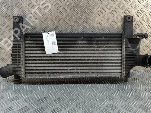 Used Intercooler NISSAN PATHFINDER III (R51) 2.5 dCi 4WD (174 hp) 18036486