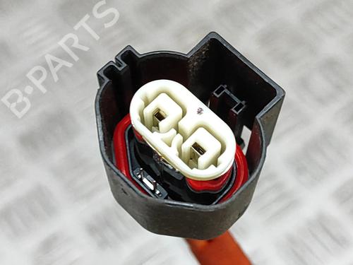 Wiring harness TESLA MODEL X (5YJX) P100D AWD | BP25218116E16 