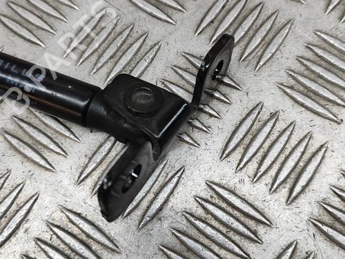 Hood lift support TESLA MODEL 3 (5YJ3) EV AWD | BP28554490C139 