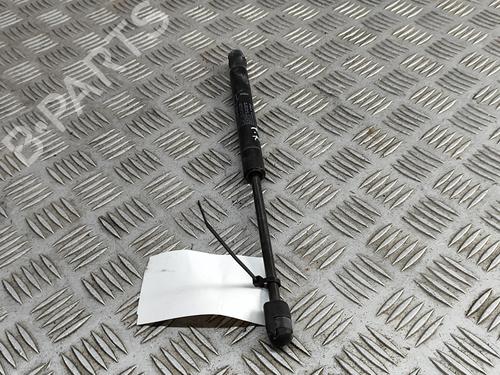 Hood lift support LAND ROVER RANGE ROVER EVOQUE (L538) 2.0 D | BP27570002C139 