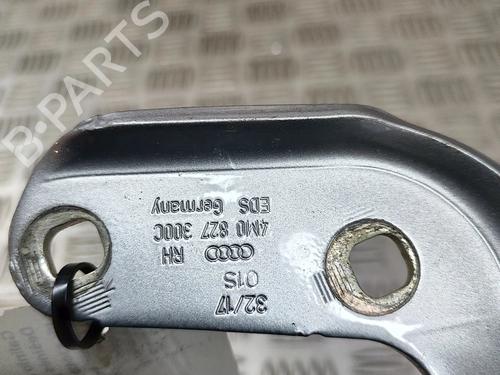 Hinge/Door check strap AUDI Q7 (4MB, 4MG, 4MQ) 3.0 TDI quattro | BP26405564C146 