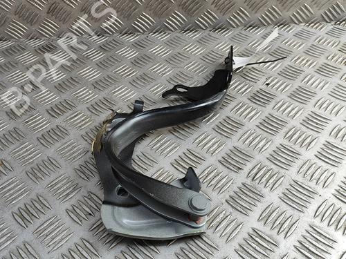 hingedoor-check-strap-fiat-500-312_-2007-33374037 main image