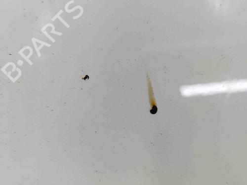 Capot VW NEW BEETLE Convertible (1Y7) 1.6 | BP29700360C1 