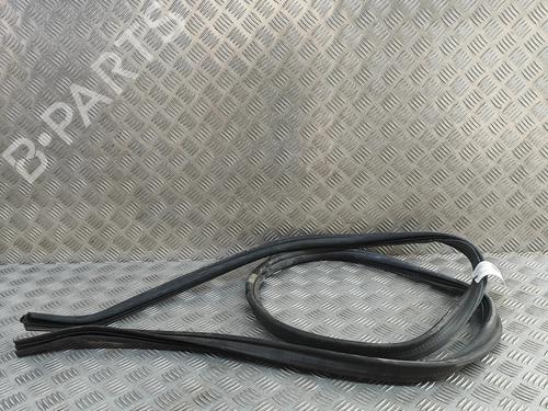 rubber-door-seal-renault-megane-cc-ez01_-2010-2011-2012-2013-2014-2015-29336779 main image
