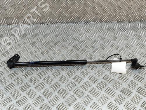 Used Tailgate lift support NISSAN JUKE (F16_) DIG-T 117 (117 hp) 28551102