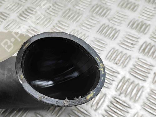 Pipe PORSCHE PANAMERA (970) 3.0 D | BP29523908M125 