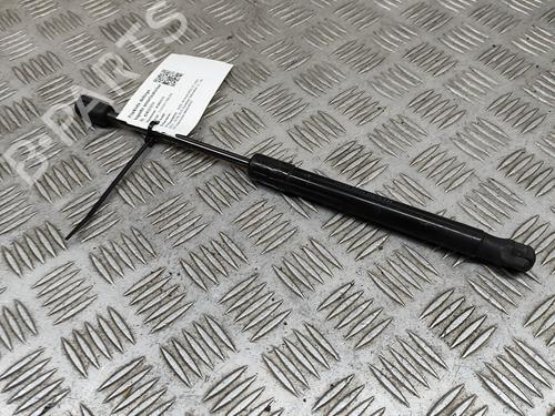 Hood lift support AUDI A6 C7 Avant (4G5, 4GD) 2.0 TDI quattro | BP22807297C139 