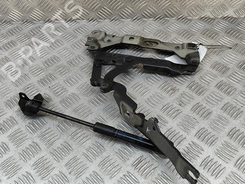 Hinge/Door check strap BMW 7 (F01, F02, F03, F04) 730 d | BP25218154C146 