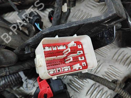 Ledningsnet POLESTAR POLESTAR 2 (534) EV | BP28548755E16