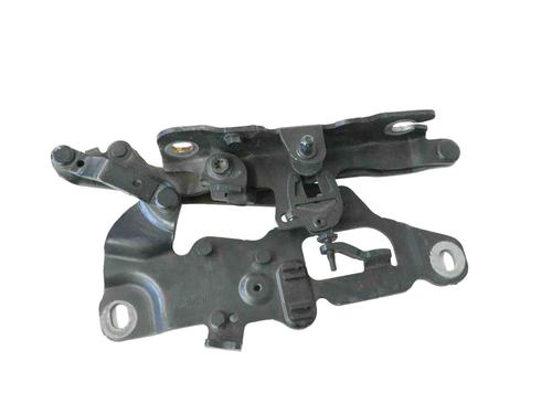 Used Hinge/Door check strap BMW 6 Convertible (F12) 640 d (313 hp) 30244589