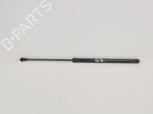 Used Tailgate lift support NISSAN QASHQAI II (J11, J11_) 1.2 DIG-T (115 hp) 14667950