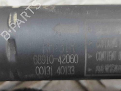 Tailgate lift support TOYOTA RAV 4 V (_A5_, _H5_) 2.5 Hybrid AWD (AXAH54, AXAL54) | BP28552005C138