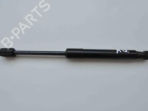 Used Hood lift support RENAULT SCÉNIC III (JZ0/1_) 1.6 dCi (JZ00, JZ12) (130 hp) 30282695