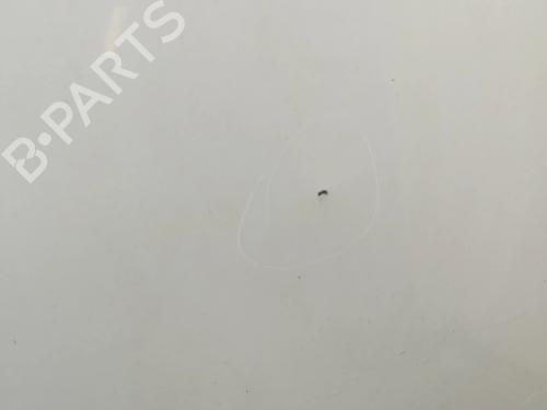 Right rear door FORD TRANSIT CUSTOM V362 Bus (F3) 2.2 TDCi | BP32061173C5 