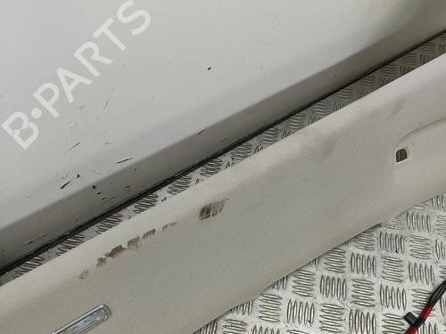 Interiør taket NISSAN ARIYA (FE0) EV e-4ORCE | BP29336828I12