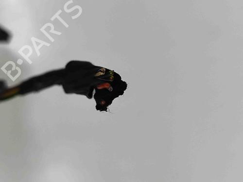 Elektronisk modul AUDI A5 (F53, F5P) S5 TFSI quattro | BP27532394M83