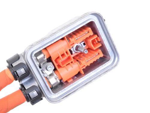 Ledningsnett POLESTAR POLESTAR 2 (534) EV | BP30268834E16