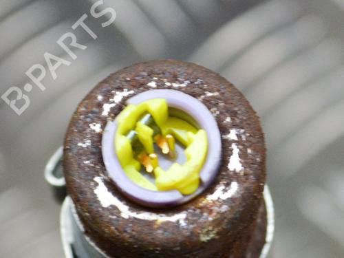 Right curtain airbag NISSAN PATHFINDER III (R51) 2.5 dCi | BP8842612C12 
