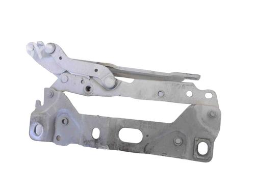 Used Hinge/Door check strap BMW 7 (F01, F02, F03, F04) 750 i, Li xDrive (408 hp) 30283061