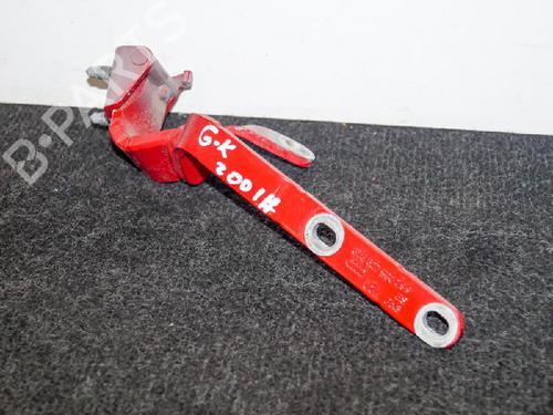 Used Hinge/Door check strap AUDI A5 Sportback (8TA) 3.2 FSI quattro (265 hp) 14659491