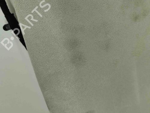 Interior roof JAGUAR F-PACE (X761) 2.0 TD4 | BP29829705I12