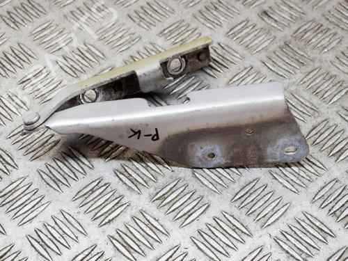 Used Hinge/Door check strap CITROËN C3 Pluriel (HB_) 1.6 (109 hp) 14635447