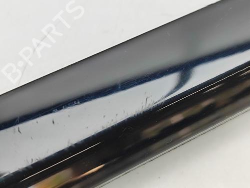 Door moulding trim LAND ROVER RANGE ROVER SPORT II (L494) 4.4 SDV8 4x4 | BP29830120C150 