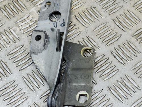 Hinge/Door check strap NISSAN PATHFINDER III (R51) 2.5 dCi | BP14629957C146 