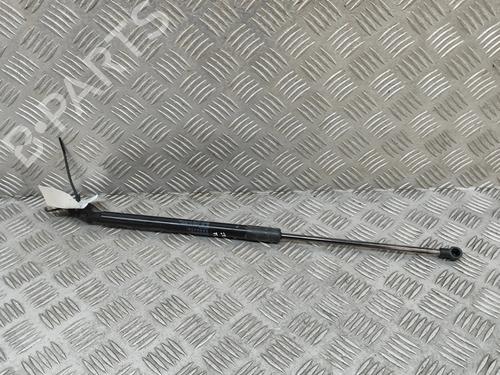 Pansergassdemper LEXUS NX (_Z1_) 300h AWD (AYZ15_, AYZ15R) (197 hp) 27789979