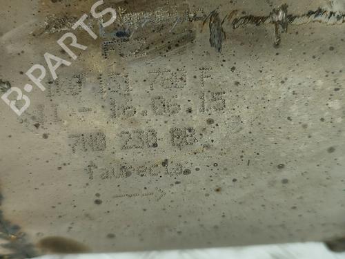 Catalyst SKODA YETI (5L) 2.0 TDI 4x4 | BP31902901M10 