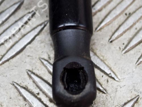 Hood lift support LAND ROVER RANGE ROVER EVOQUE (L538) 2.0 D 4x4 | BP14635791C139 