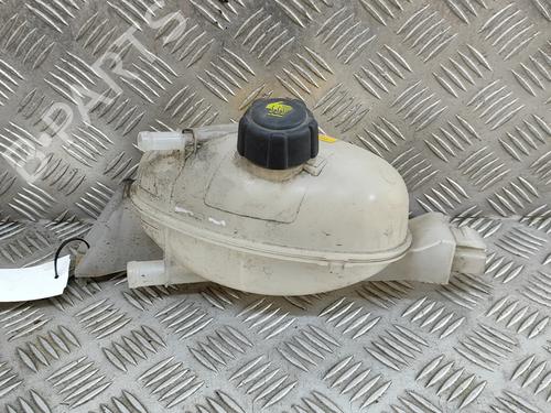 Used Expansion tank OPEL MOVANO B Van (X62) 2.3 CDTI FWD (FV) (131 hp) 27205727