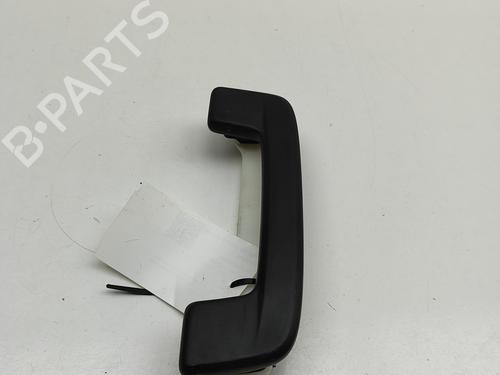 Interior roof handle SKODA ENYAQ iV SUV (5AZ) 85X | BP29731319I35 