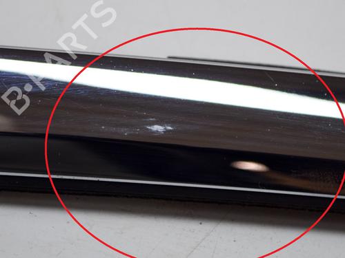 Door moulding trim TESLA MODEL S (5YJS) 75 | BP14631696C150 