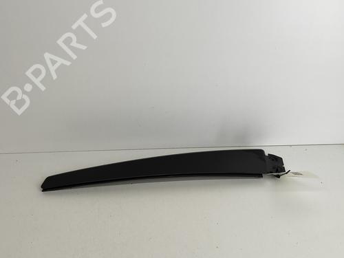 Door moulding trim TESLA MODEL X (5YJX) 90D AWD | BP20675700C150 