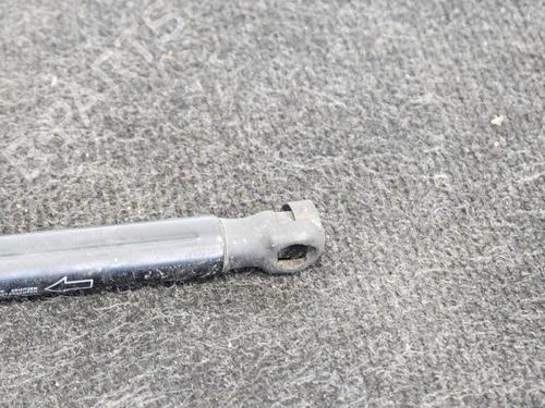 Hood lift support LAND ROVER RANGE ROVER EVOQUE (L538) 2.2 D 4x4 | BP14607886C139 