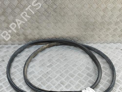 Used Rubber door seal VW AMAROK (2HA, 2HB, S1B, S6B, S7A, S7B, AGD) 3.0 TDI 4motion (224 hp) 27608107